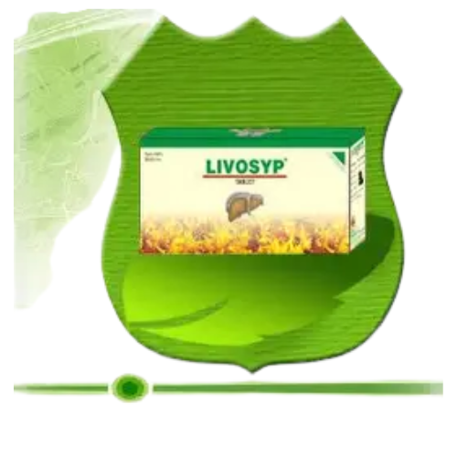 Shree Dhanwantri Herbals LIVOSYP DS 500 Tab