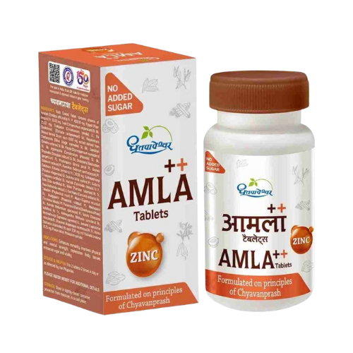 Dhootpapeshwar Amla Plus With Zinc Tablets ( 60 Tab )